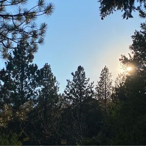 Meet your Posher, Cullen